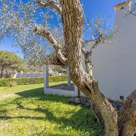 Villetta Bagnaia - Goelba Feriehus